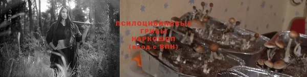mdpv Белоозёрский