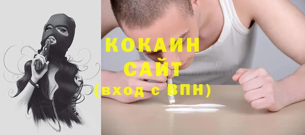 крисы Богородск