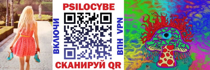 купить закладку  Губкинский  Псилоцибиновые грибы MAGIC MUSHROOMS 